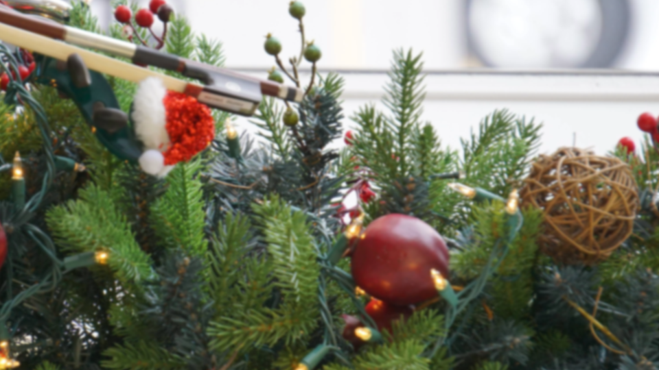 Sale > Holiday > Violin Gift Ideas