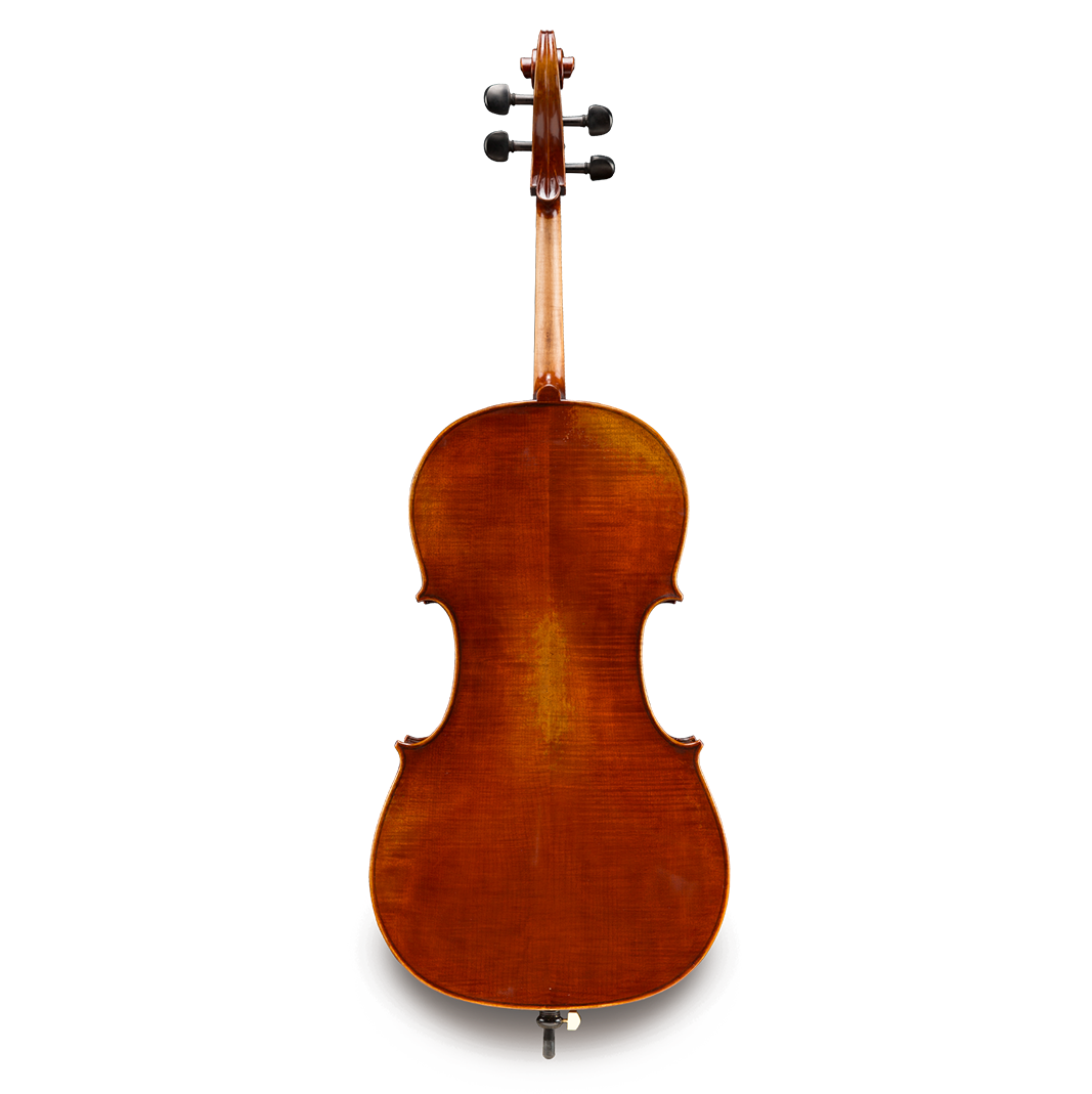 Eastman 701 Cello - Rudolph Doetsch