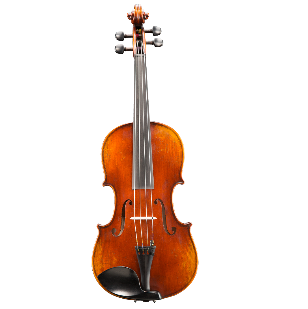 Nikolas D01 Viola