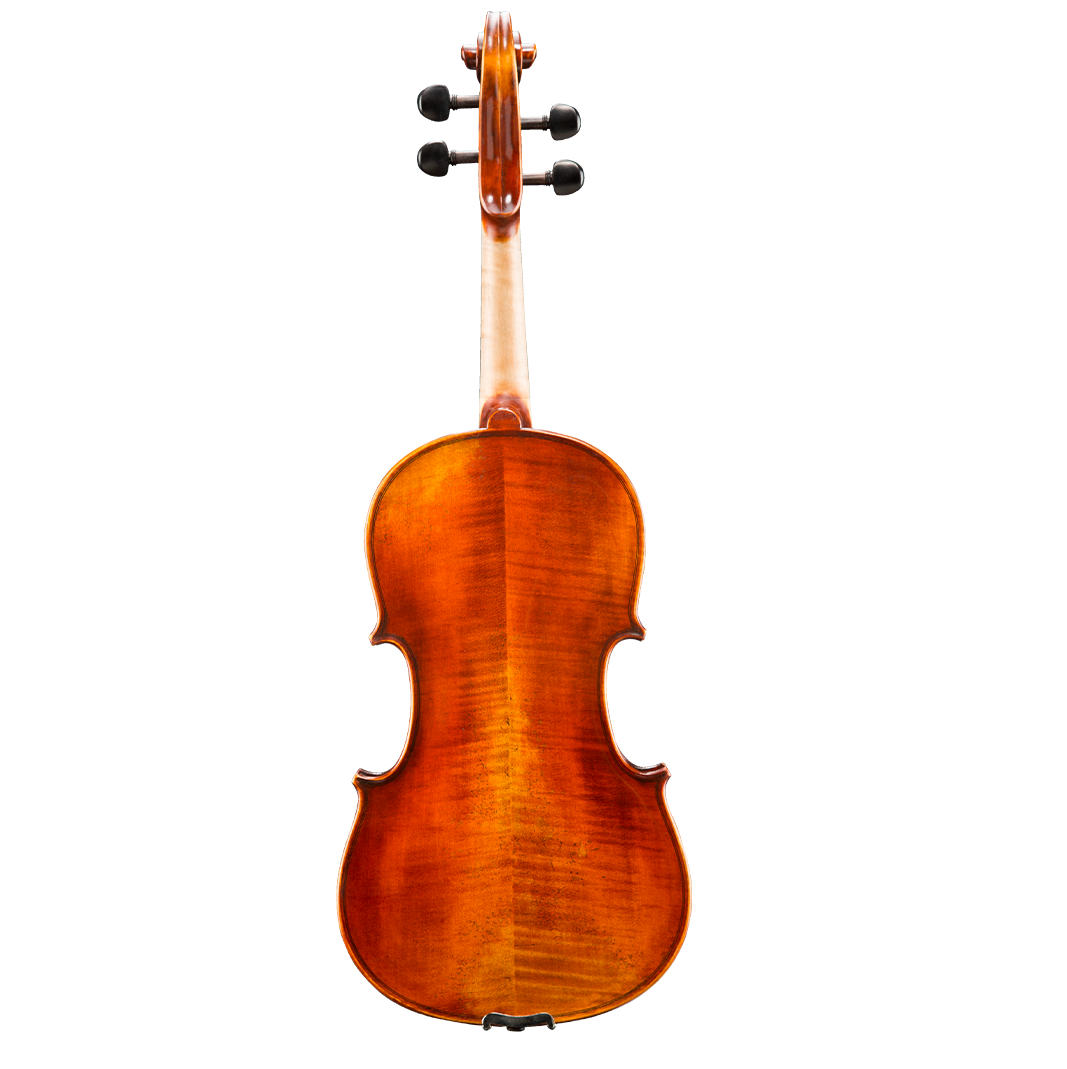 Nikolas D01 Viola
