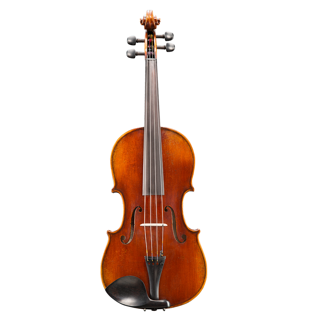 Nikolas D02 Viola