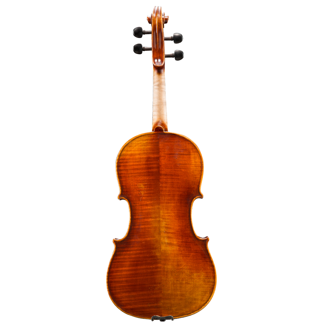 Nikolas D02 Viola
