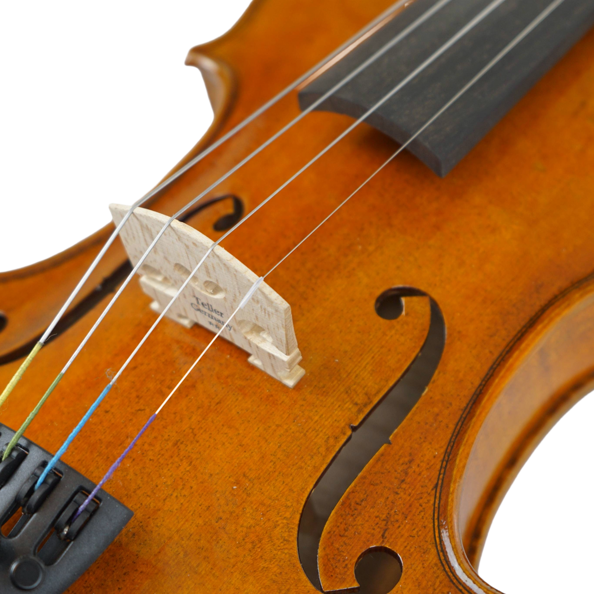Close-up of Nikolas VL061 Violin