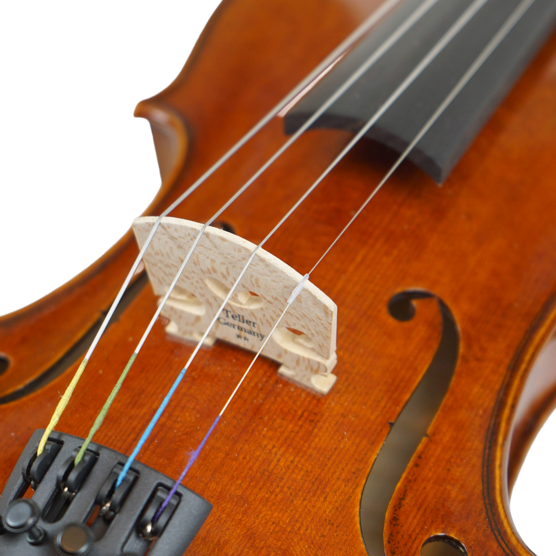 Close-up of Nikolas VL017 Violin
