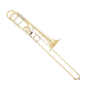 S.E. Shires Q Series TBQ30YR Trombone - Yellow Brass Bell, Rotor Valve