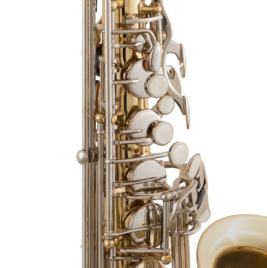Selmer SAS301 Alto Saxophone