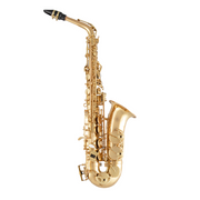 Selmer SAS511 Alto Saxophone