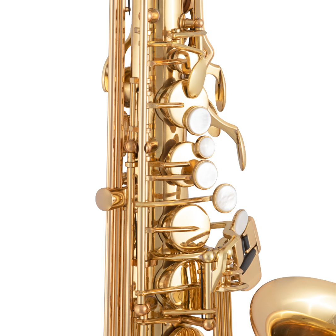 Selmer SAS511 Alto Saxophone
