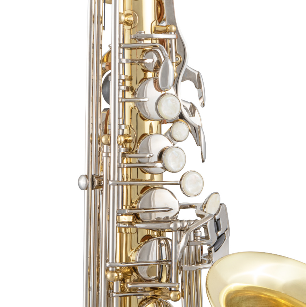 Selmer SAS201 Alto Saxophone