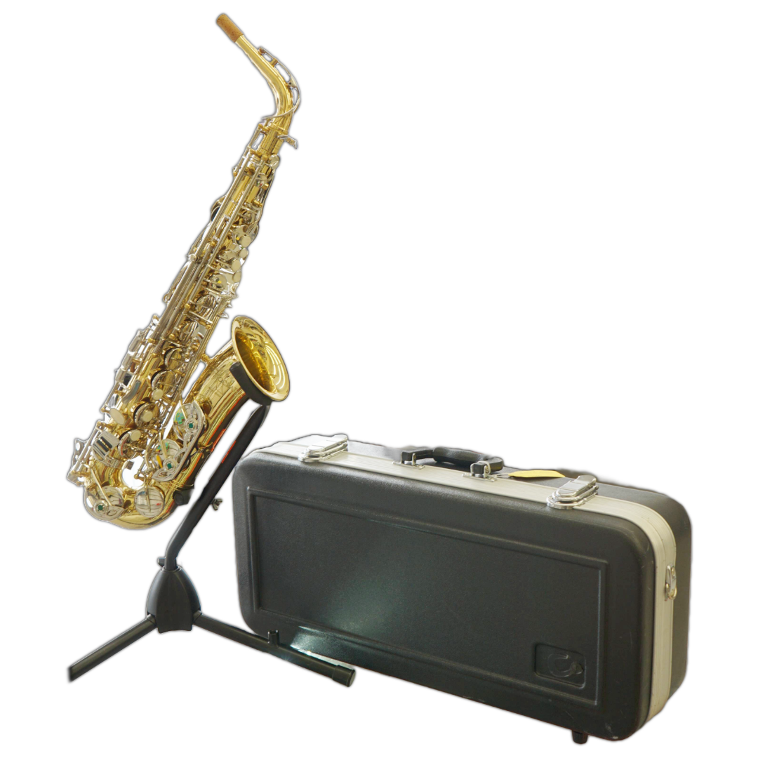 Pre-Owned Selmer SAS201 Alto Saxophone