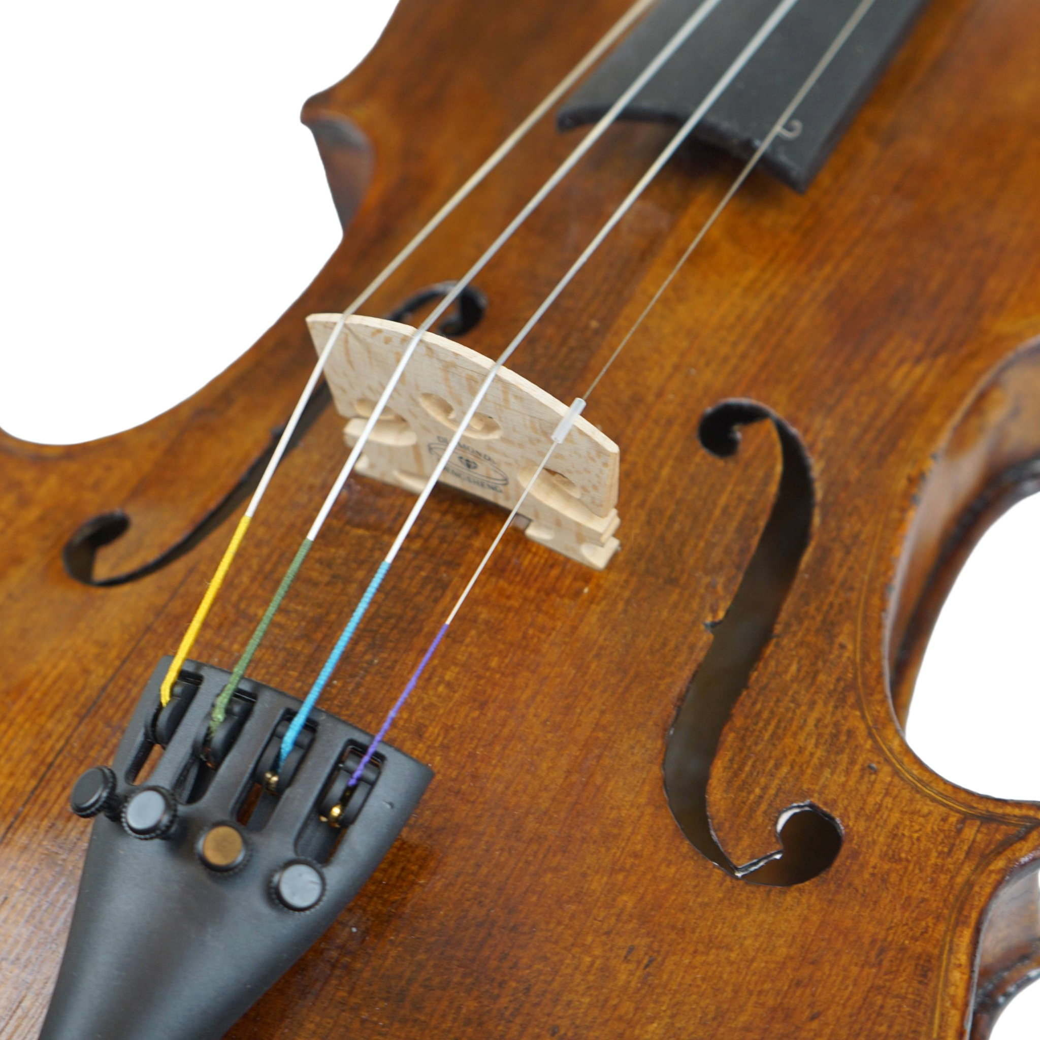Close-up of Vintage Violin